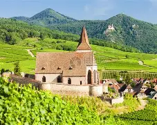 ag体育中国官网-法国杯转会期再迎强敌，国际米兰官宣签约，主帅态度——目标明确，球探报告显示潜力